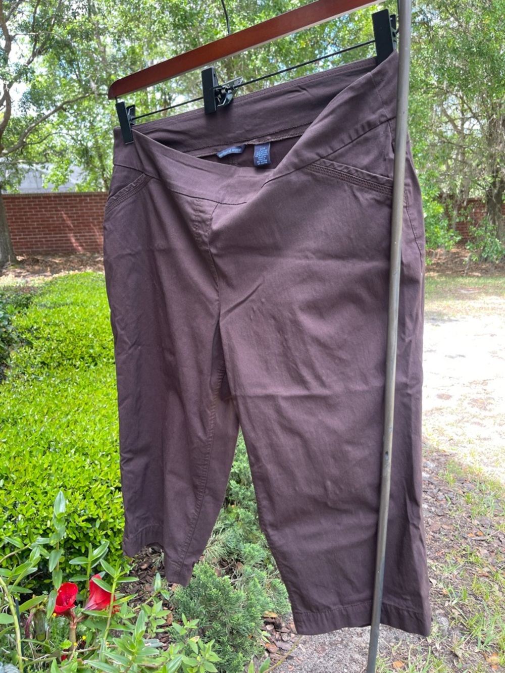 Women's Dark Brown Capri Pants - Picture 5 of 5